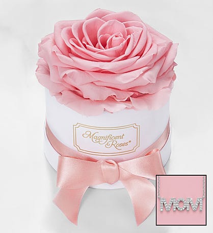 Magnificent Roses® Preserved Pink Rose